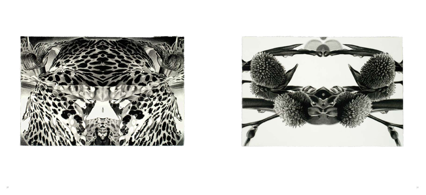 [ernesto-final-2.jpg]