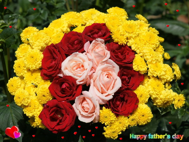 hot flowers wallpapers roses. club flowers wallpapers roses. flowers roses. wallpapers of flowers roses. hot flowers wallpapers roses. club flowers wallpapers roses. flowers roses.