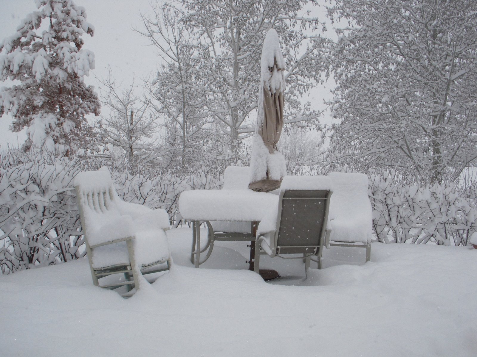 [April+2009+013.JPG]