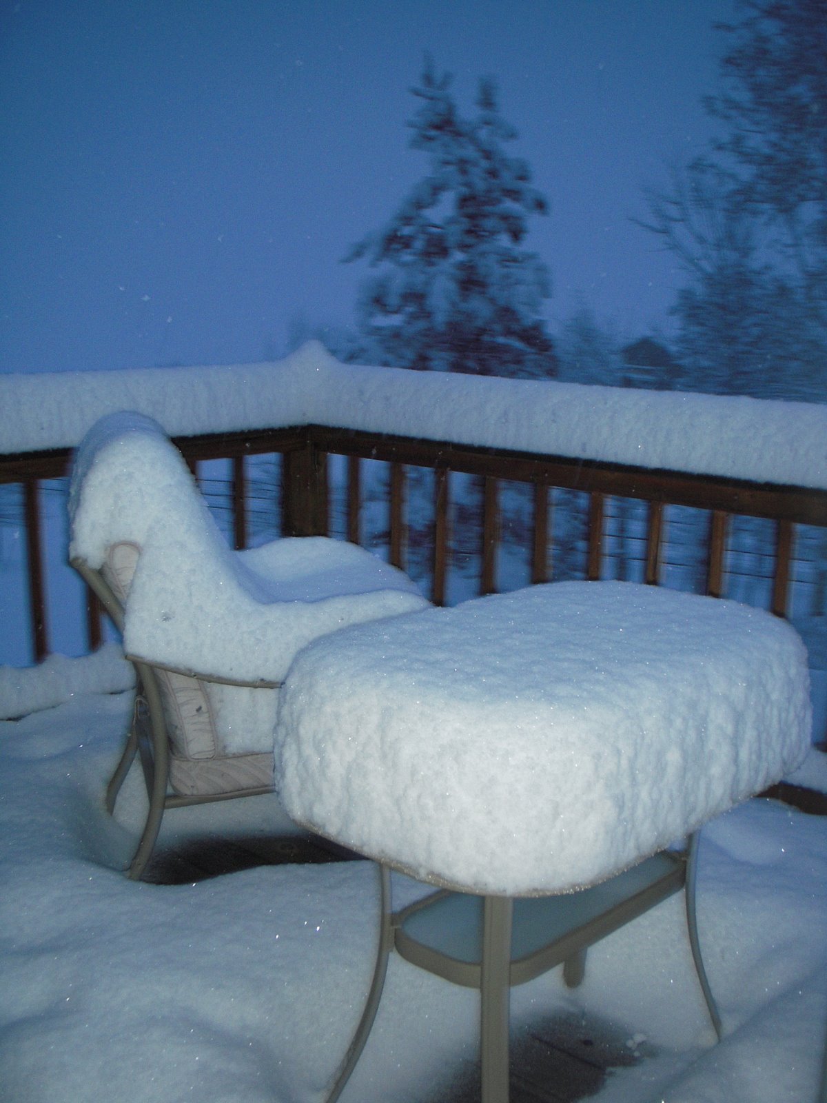 [April+2009+006.JPG]