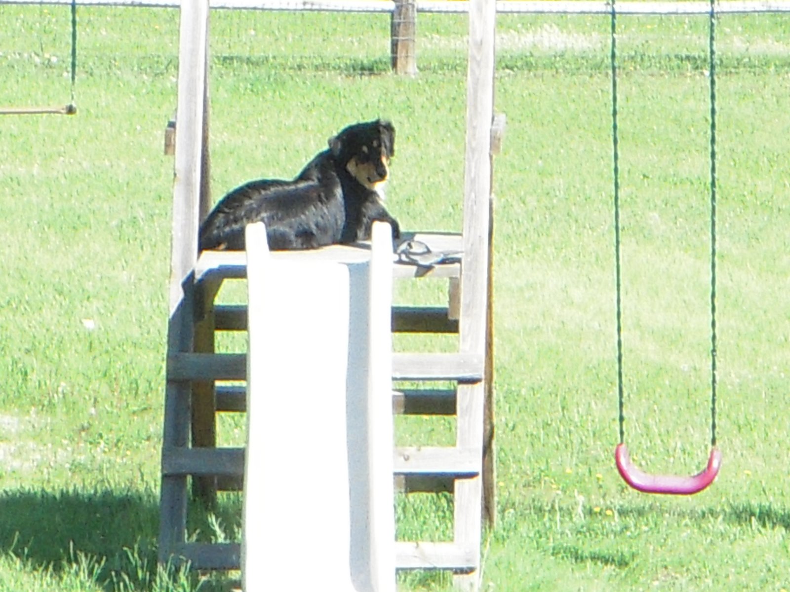 [track+end+of+year+077.JPG]