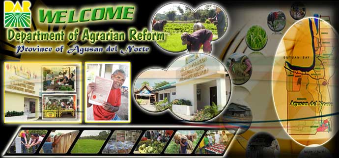 PHOTO GALLERY