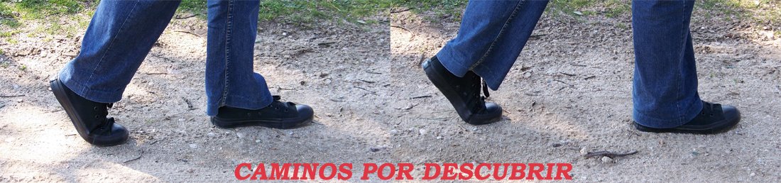 Caminos por descubrir