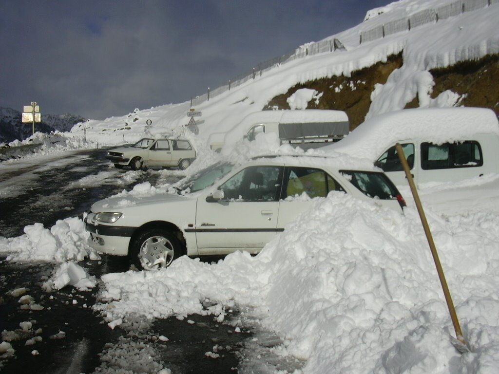 [DSCN0654.JPG]