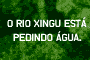 Campanha Y Ikatu Xingu