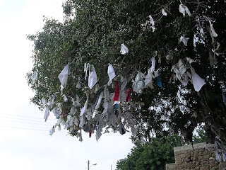 En Chipre se halla este árbol trapero, con objetos votivos, junto a una fuente sagrada cerca de la iglesia de Ayia Salomoni en Pafos.