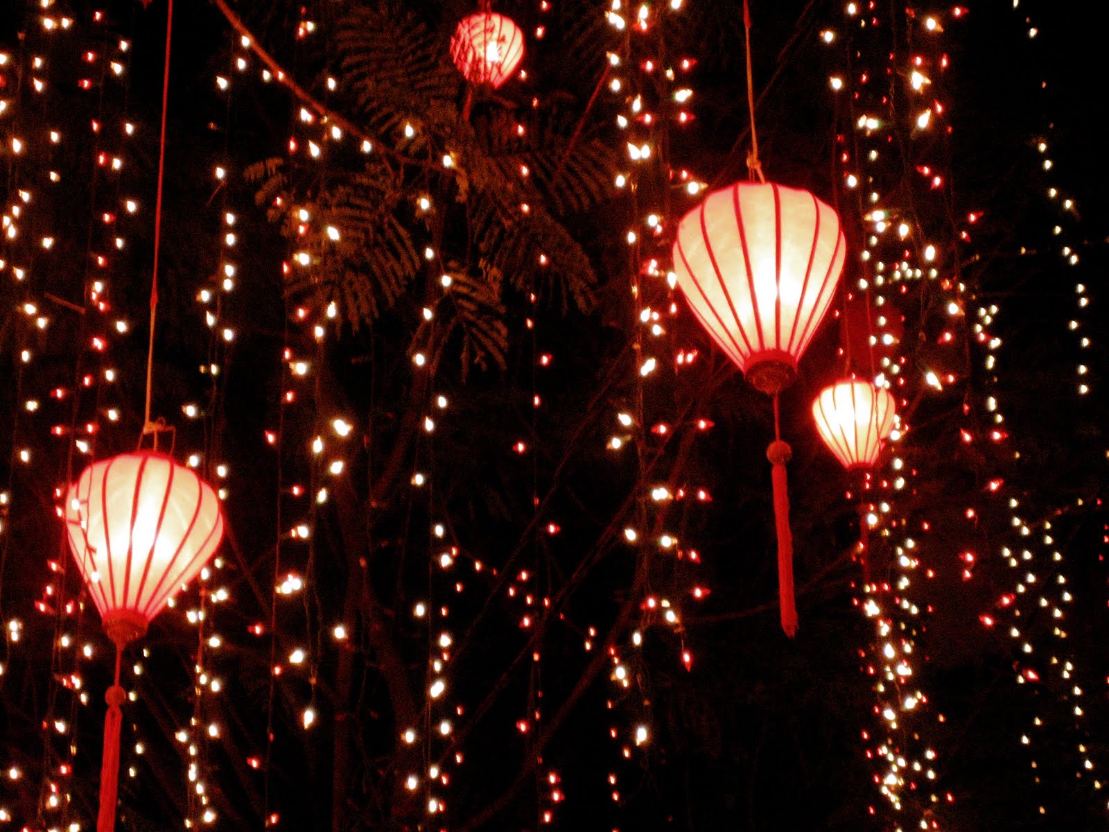 Wedding Lantern Wedding Lantern