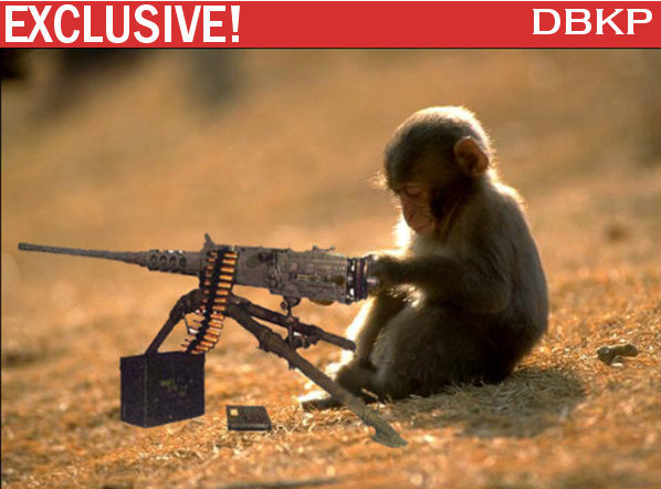 Monkey Shooting Gun pictures, Monkey Shooting Gun pics, Monkey Shooting Gun 