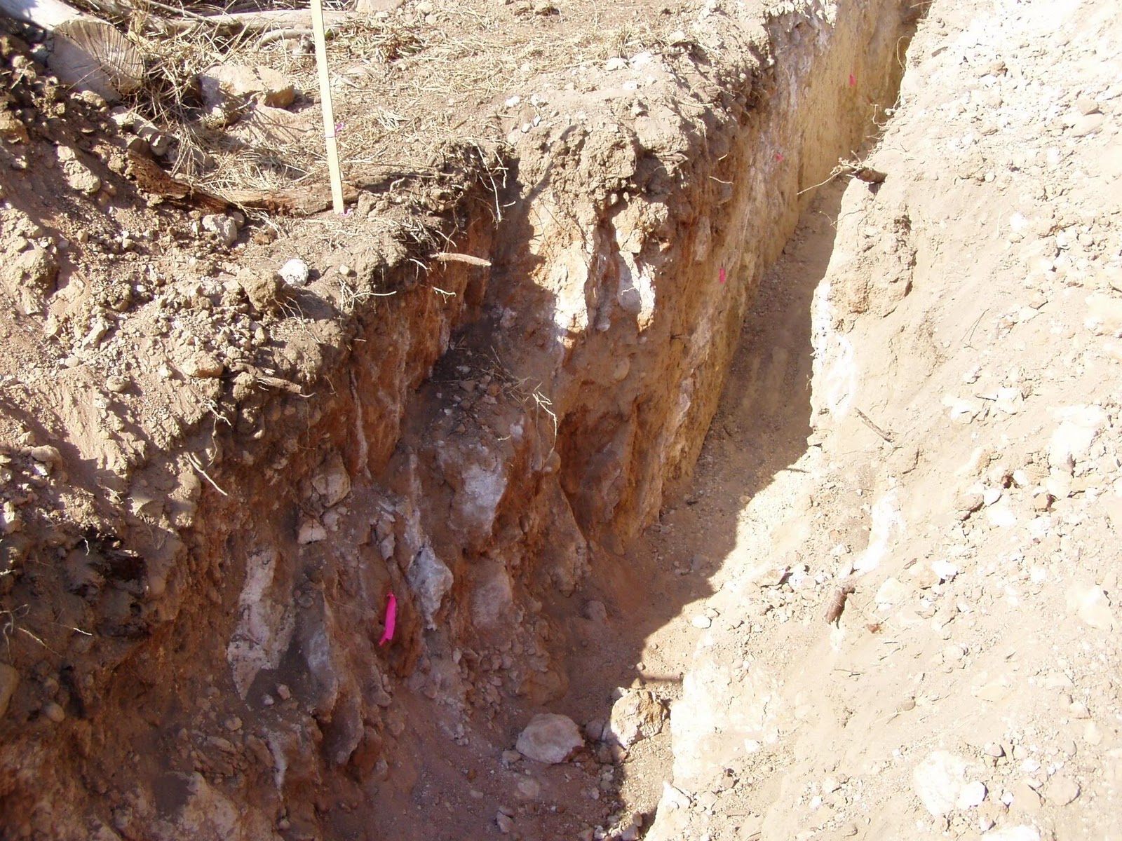 PETROLEUM GEOLOGY Fault Seal Analysis In Carbonates