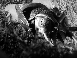 Irradiated Wasp Monster