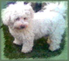 MICKY