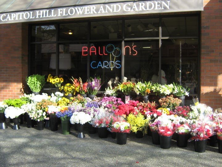 Capitol Hill Flower & Garden Capitol Hill Flowers