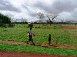 images de la vallée du fleuve sourou au Burkina Faso