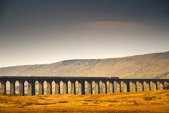 Train on viaduct