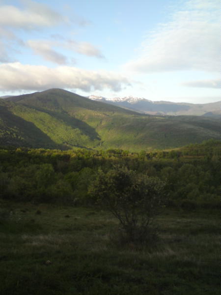 [image-upload-122-715140.jpg]
