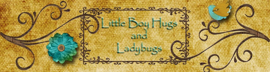 little boy hugs and ladybugs