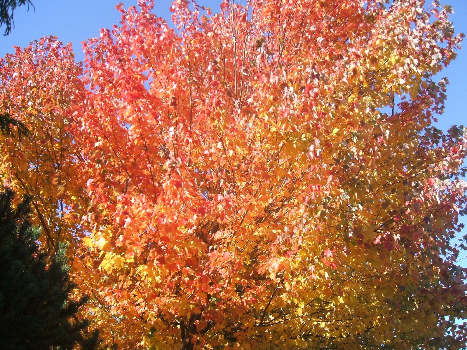 [DSCF1819.JPG]