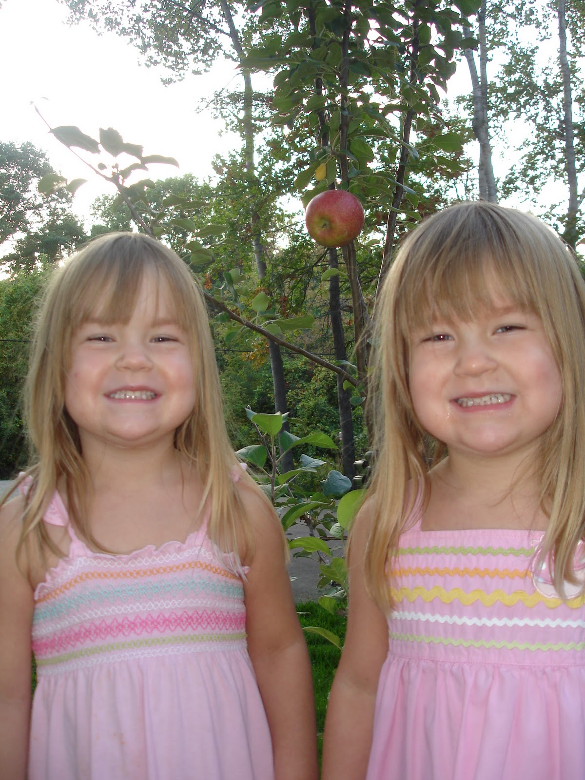 Tandem Twinning Twin Terms Part II Identical & Fraternal