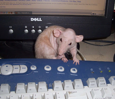 sherlock+on+the+computer.jpg