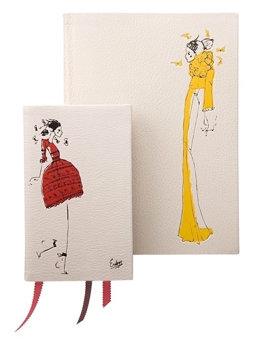 [erdem_illustration1.jpg]