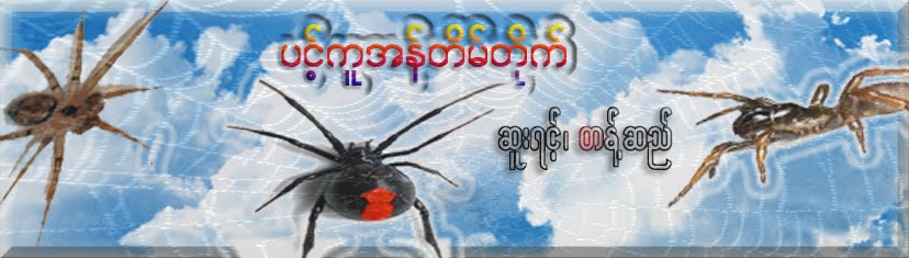 ပင့္ကူအန္ တိမ္တိုက္၊  ဆူးရင့္၊တန္႔ဆည္၊