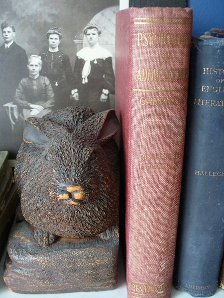 [P1050698+[800x600].JPG]