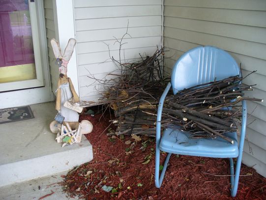 [P1050855+[OES-Horizontal].JPG]