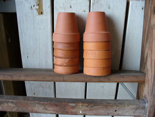 [P1050851+[OES-Horizontal].JPG]