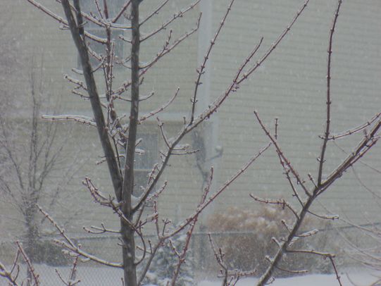 [P1060394+[OES-Horizontal].JPG]