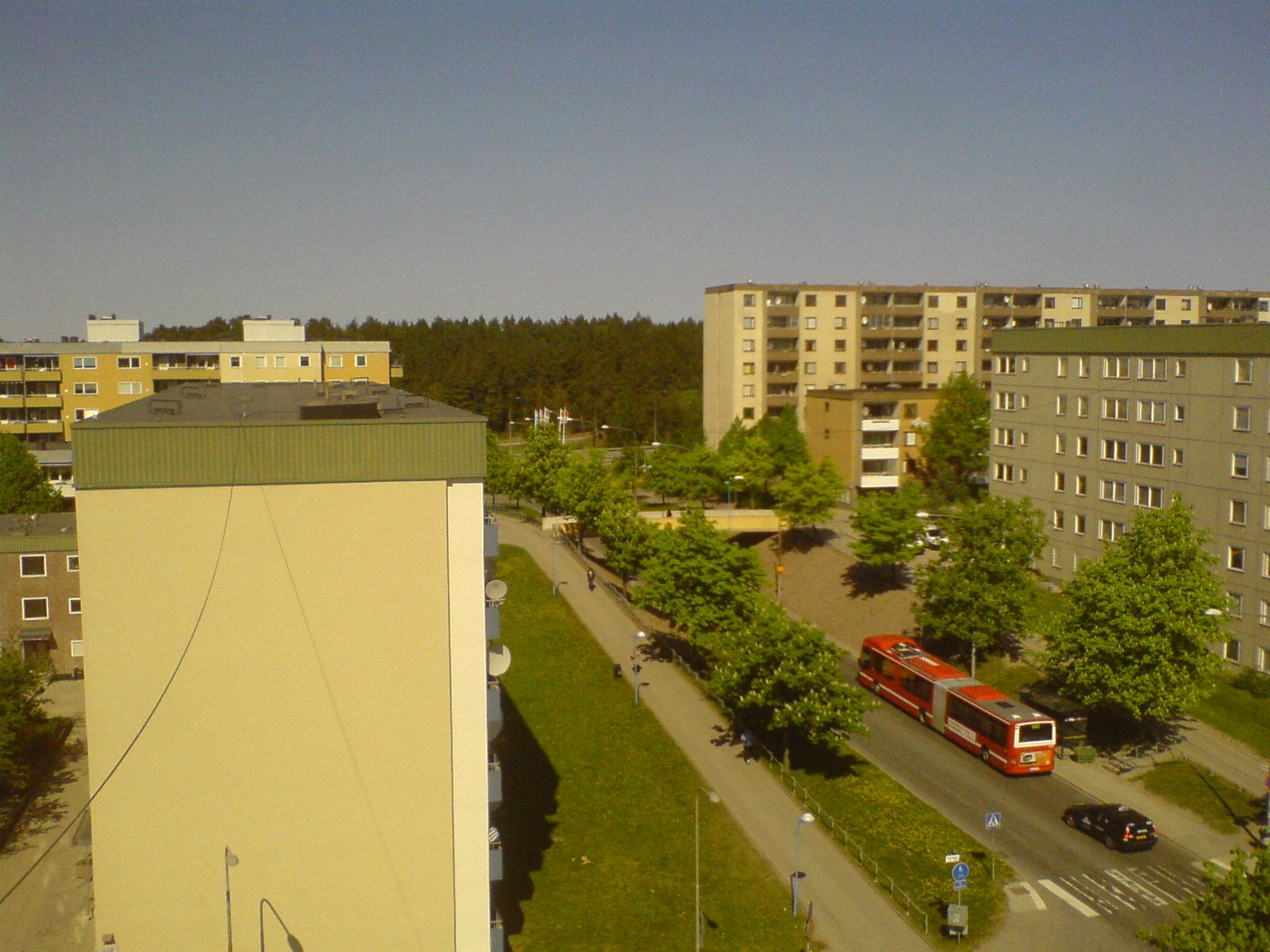[DSC01556.JPG]