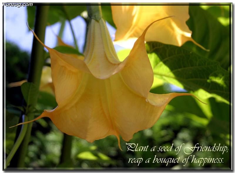 LIFE IS BEAUTIFUL: Very Beautiful Inspiring Friendship Quotes...