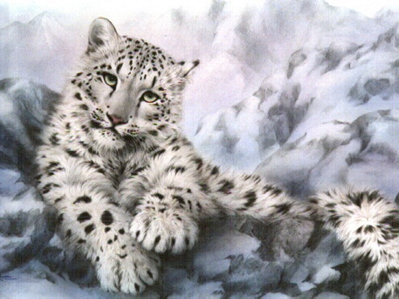 snow leopard print wallpaper