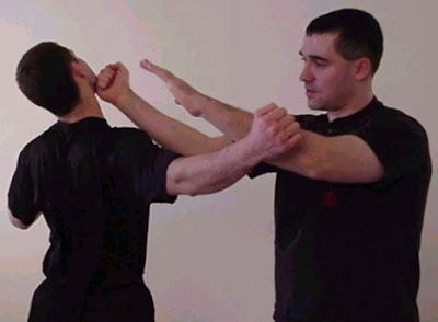 Wing Chun Wing+chun-bilsao-punch1