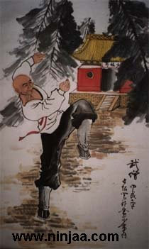 ninjaa, kungfu ,solin ,ancient chinese , boxing martial art.jpg