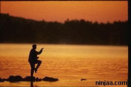 taichi medical forms ,international medical taichi forms,self defense by taichi ,expert forms