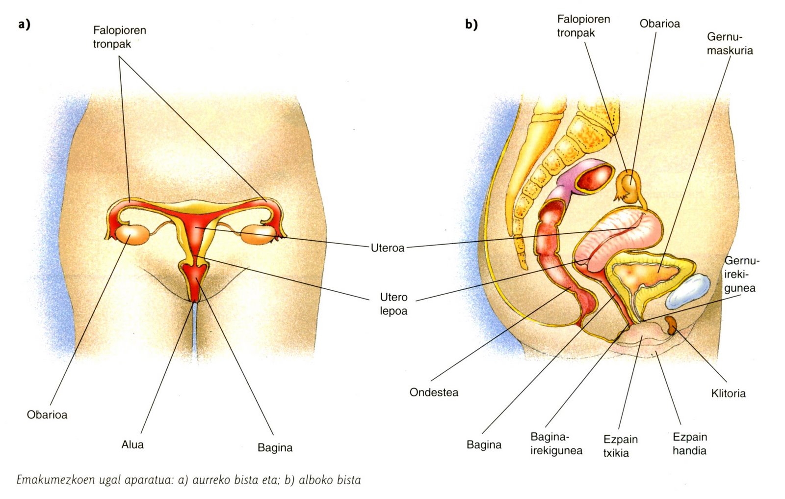 external image UGA2.jpg