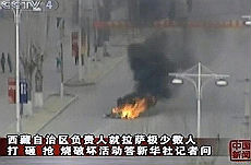 [lhasa.jpg]