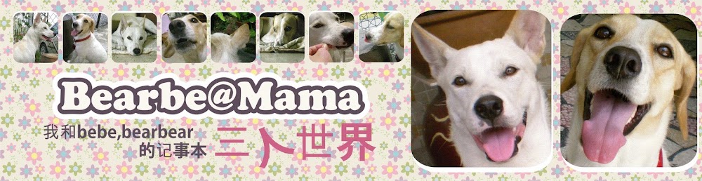 bearbe@mama