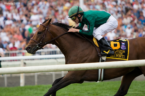 gio ponti horse