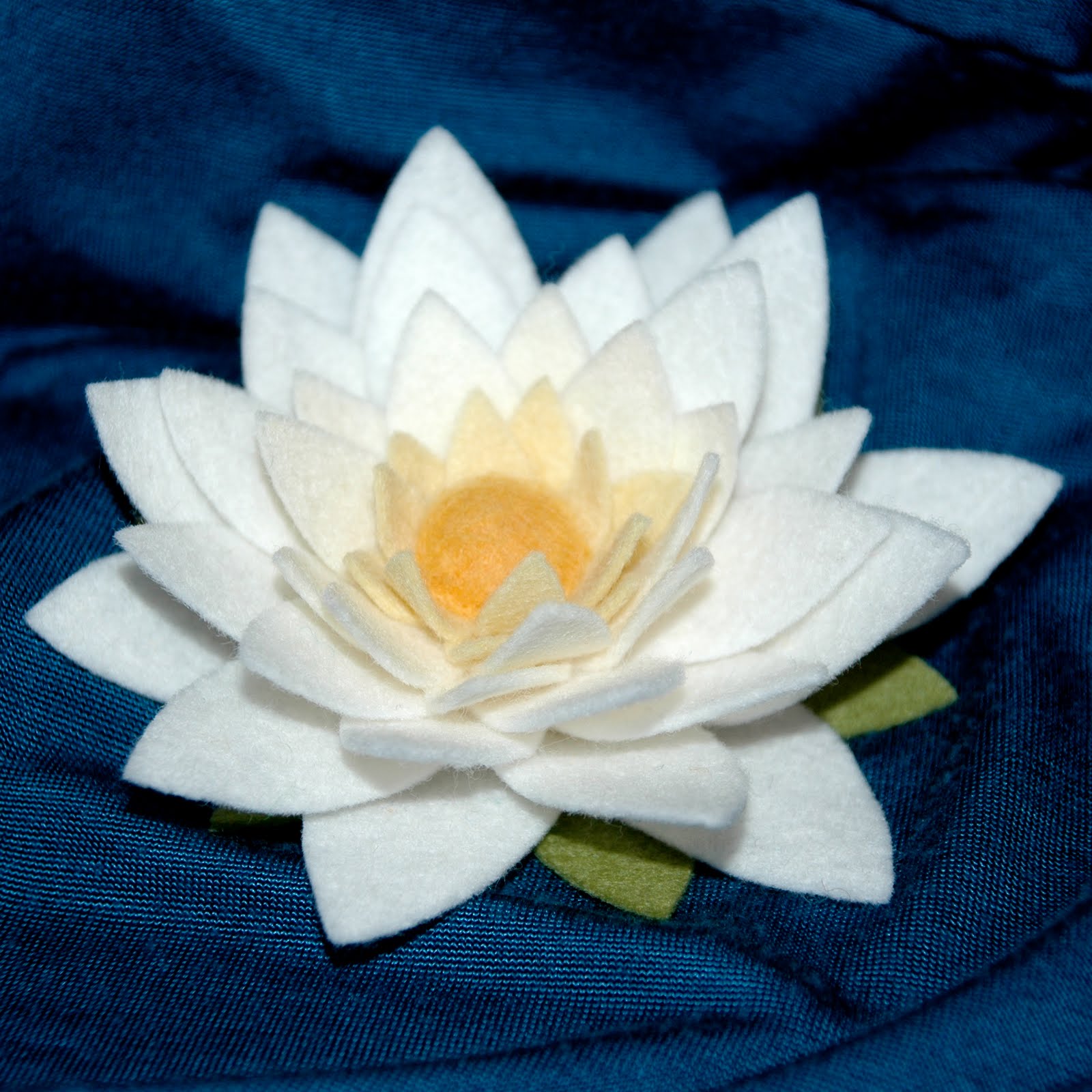 [DSC_1024.JPG]