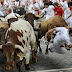 Victims of Bulls