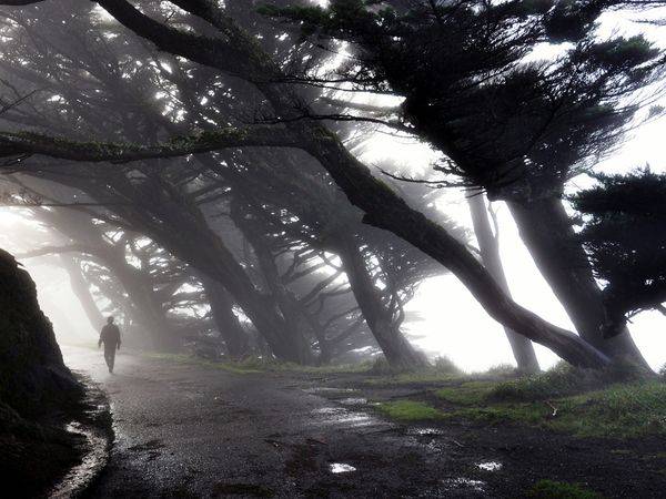 America’s 24 Best Adventure Towns Point-Reyes-Station-California America’s 24 Best Adventure Towns New-Paltz-New-York Point-Reyes-Station-California