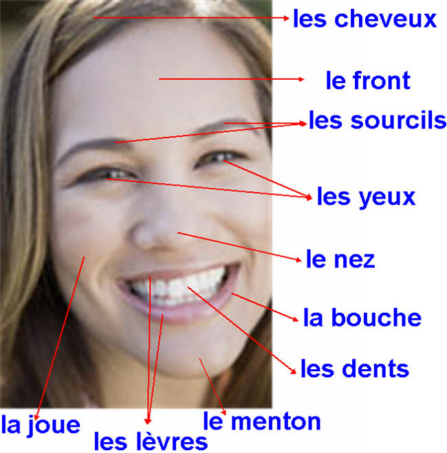 Features On Face In French at Maria Peterson blog