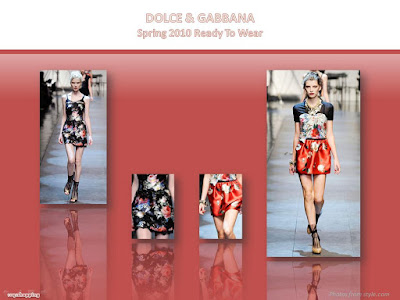 Dolce & Gabbana Spring 2010 Ready To Wear floral roses silk dress