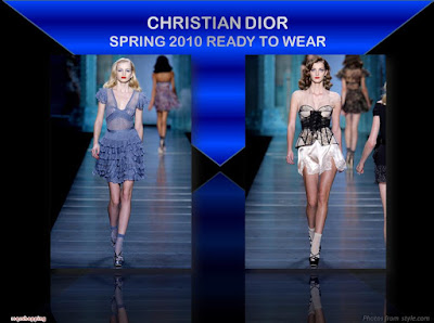 Christian Dior Spring 2010 Ready To Wear bustier dress