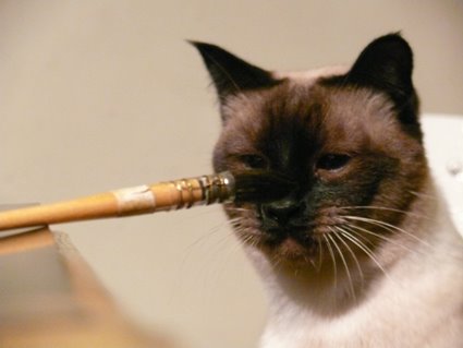 [gata1.jpg]