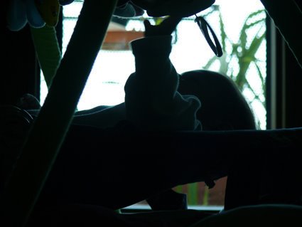 [P1130511.JPG]