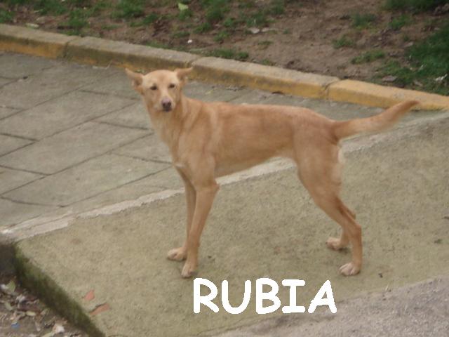 RUBIA