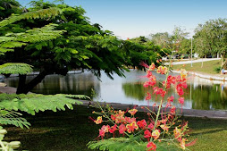 Praça Floriano Peixoto