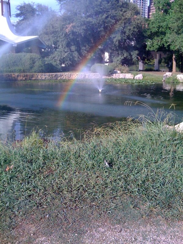 [rainbow.bmp]